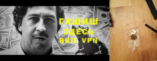 гидра Абаза