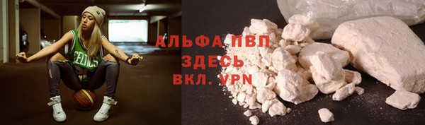 гидра Абаза