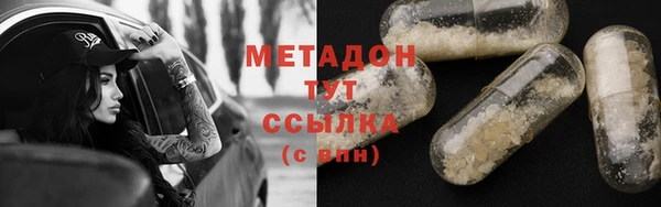 гидра Абаза