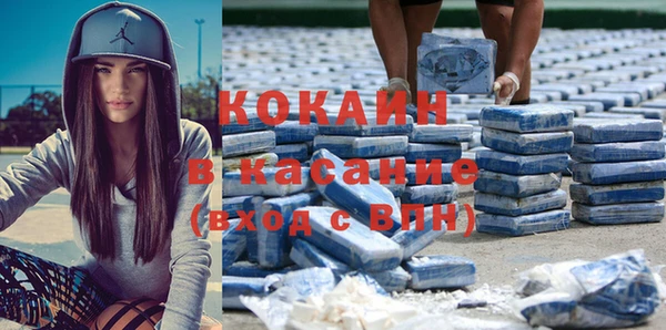 гидра Абаза
