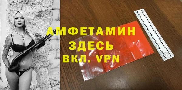 гидра Абаза