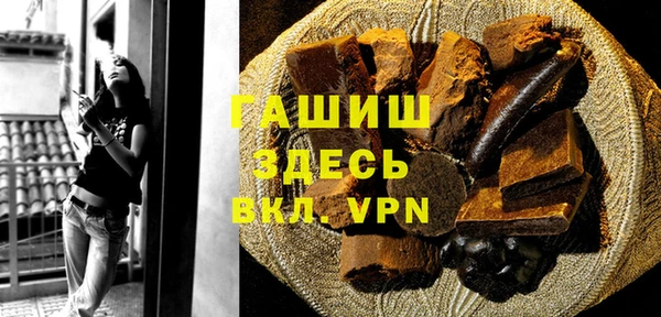 гидра Абаза