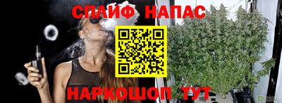 spice Гусиноозёрск