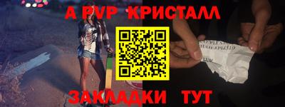 индика Гусев