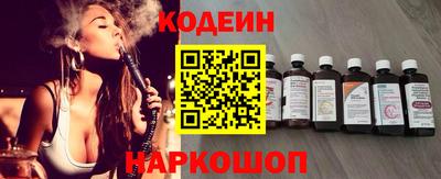 индика Гусев