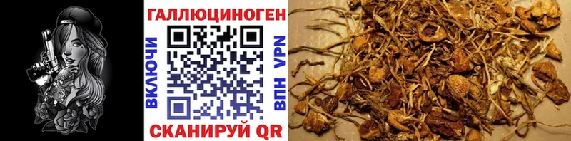 Псилоцибиновые грибы GOLDEN TEACHER  Воронеж 
