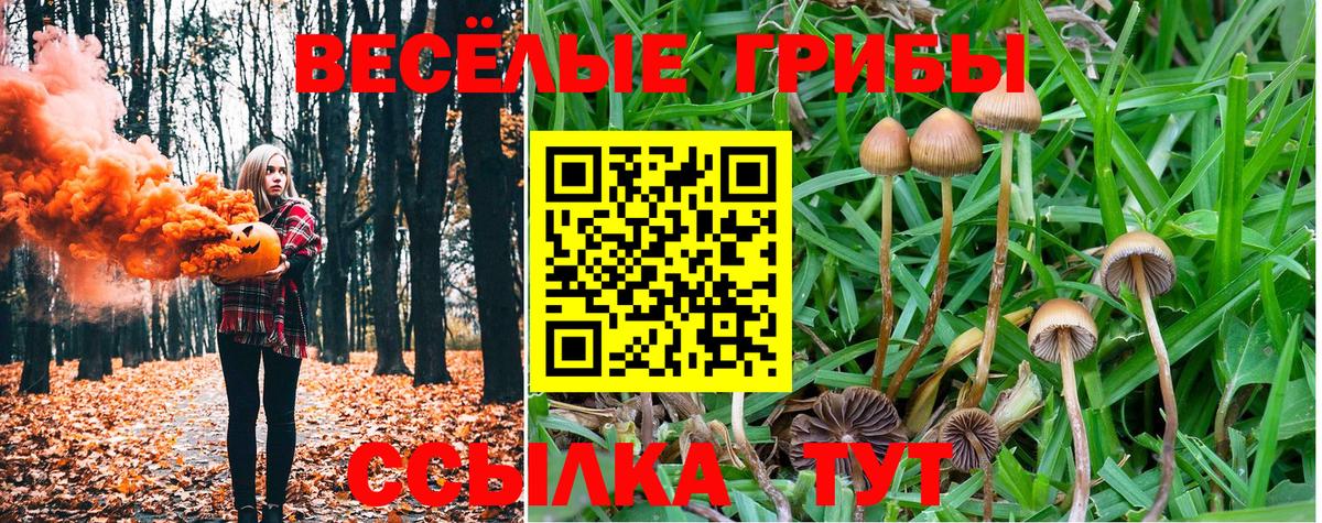 Воронеж  Галлюциногенные грибы Cubensis  Вход с VPN 