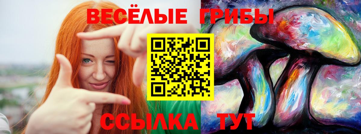 Псилоцибиновые грибы мицелий Воронеж